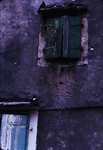 old pidgeon